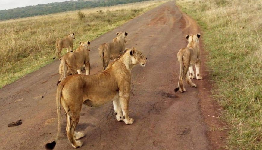 Kidepo National Park